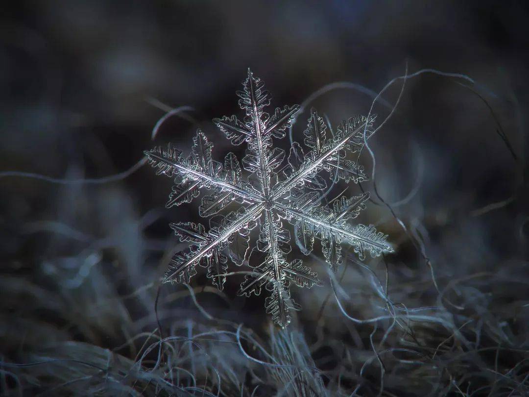 雪花的形状雪花是什么形状