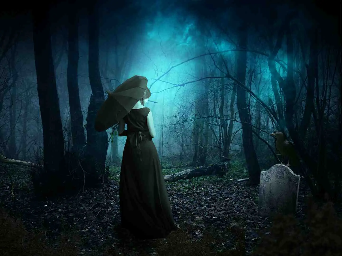 恐怖鬼故事大全 恐怖鬼故事大全鬼姐姐