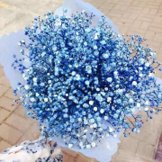 闺蜜生日送什么花比较适合(闺蜜生日送什