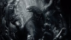 世界奇闻异事大全 世界奇闻异事真实经历