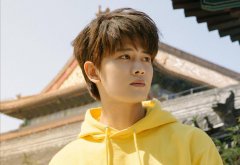 任嘉伦亮相《天天向上》  探索未来装修
