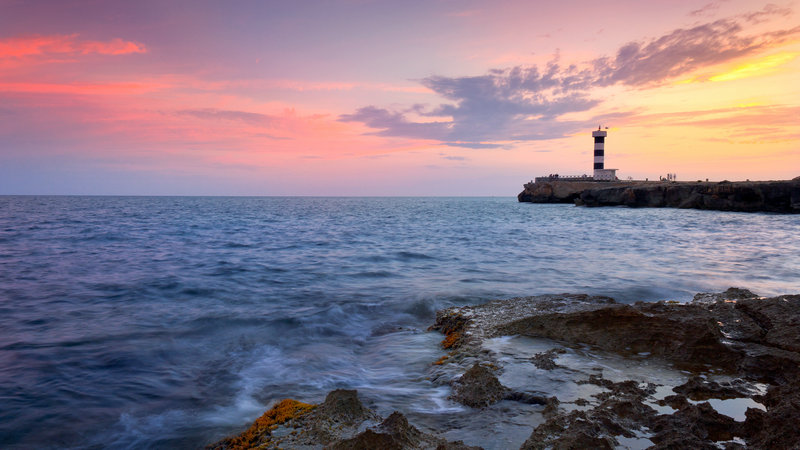 杨子家里为什么这么有钱