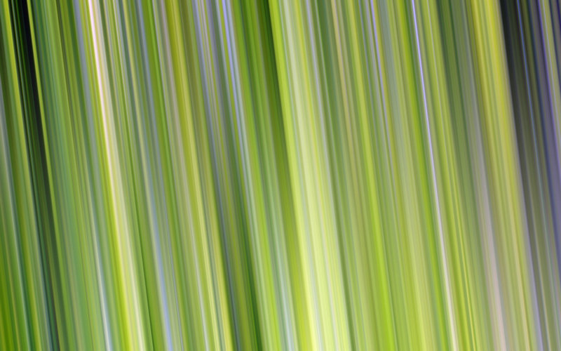 至死不懈的意思和造句有哪些 至死不懈的意思和造句有哪些