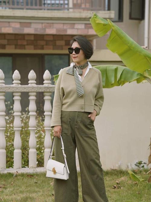 史可王志文主演的电视剧 史可王志文主演的电视剧