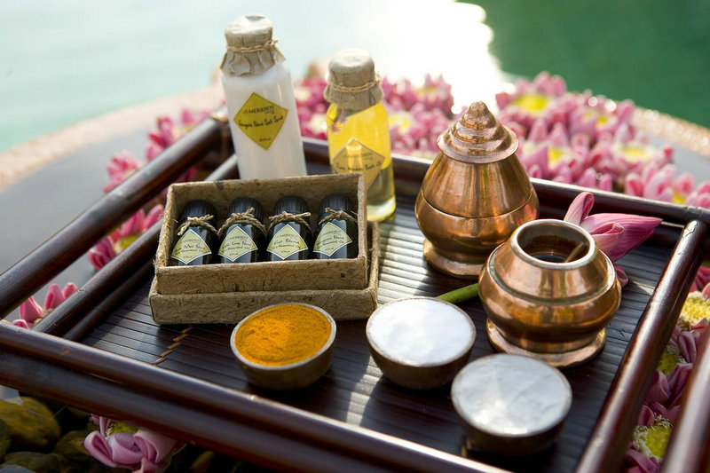 汪雨王菲菲资料简介大全 汪雨王菲菲资料简介大全