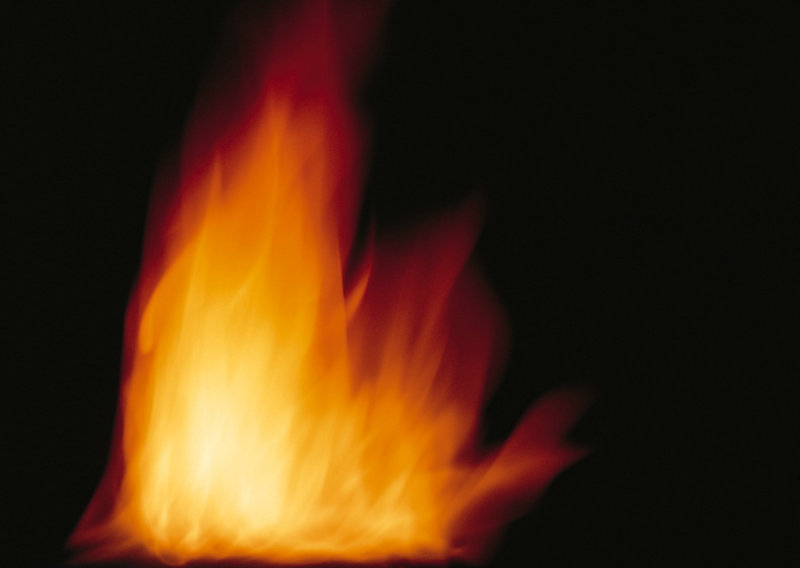 魏大勋避嫌否认秦岚恋情 魏大勋避嫌否认秦岚恋情