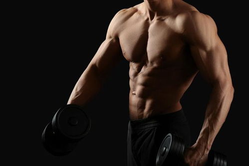 大陶虹个人资料老公是谁