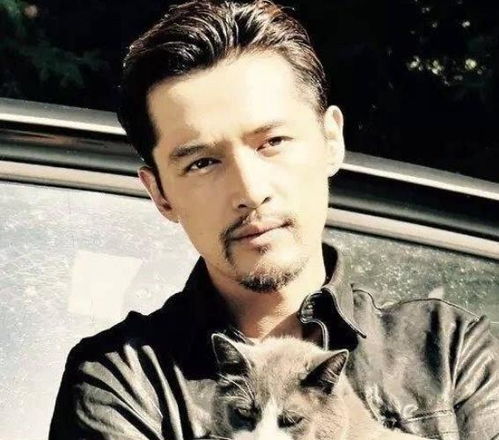 我们结婚了初恋夫妇优酷