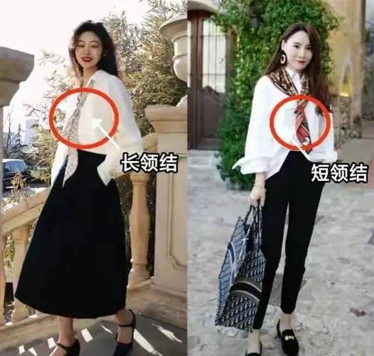 年度喜爱女性角色 刘诗诗角色奖项被换成白鹿 年度喜爱女性角色 刘诗诗角色奖项被换成白鹿