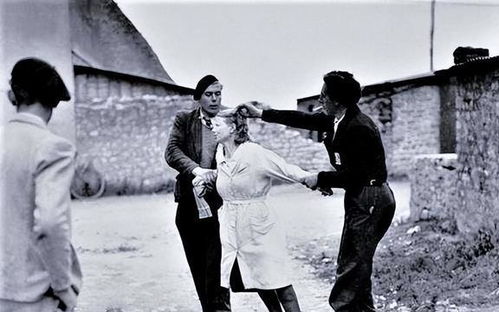 小鸡算命-看相 小鸡上长了个猴子