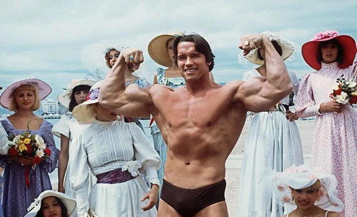 肥水不流外人田哔哩哔哩