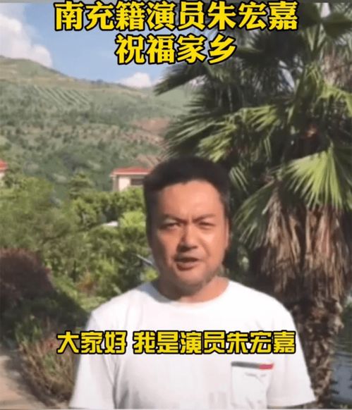 海底总动员电影,海底总动员电影海报