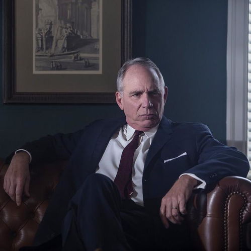 明明拍到的苍蝇怎么又飞起来了 明明拍到的苍蝇怎么又飞起来了