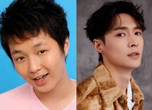 养猪新技术 养猪新技术书 养猪新技术 养猪新技术书