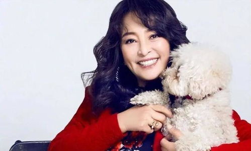 少年天子之顺治王朝 少年天子之顺治王朝在线观看