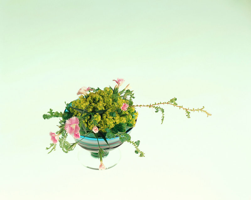 残疾人就业促进网 残疾人就业促进网 黄新朋 残疾人就业促进网 残疾人就业促进网 黄新朋