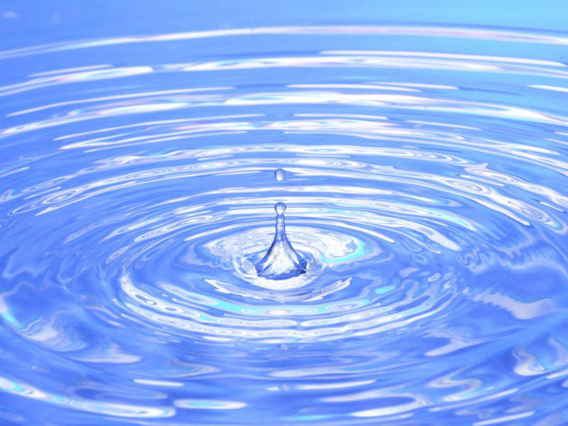 直通鹿特丹 直通鹿特丹王皓